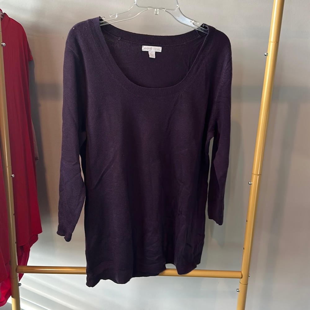 New York & Co. Sweater